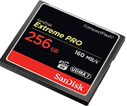Memoria Compact Flash 256 GB